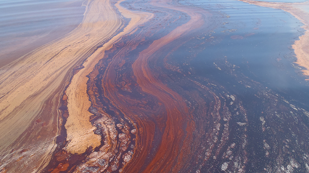 Chasing the hidden effects of Deepwater Horizon oil